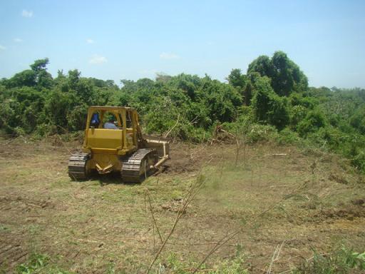 INICIAN TRABAJOS DE LIMPIEZA FORESTAL, PARA EL ÁREA DEPORTIVA DEL INSTITUTO TECNOLÓGICO SUPERIOR DE MACUSPANA.
