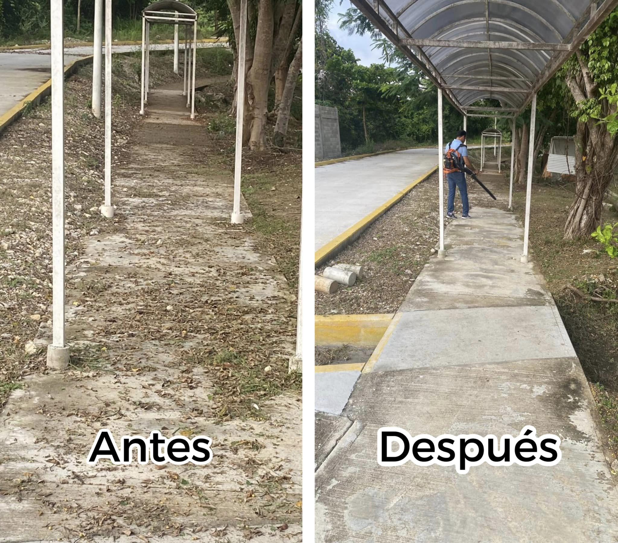 LIMPIEZA DE ÁREAS VERDES DEL ITSM