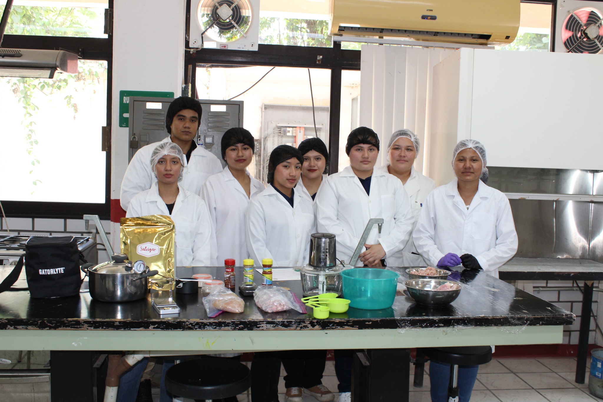 PRÁCTICA ELABORACIÓN DE SALCHICHAS A BASE DE CARNE DE POLLO Y TOCINO