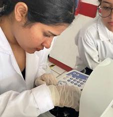 PRÁCTICA SOBRE CURVA DE CALIBRACIÓN MEDIANTE ESPECTROFOTOMETRÍA UV-VIS