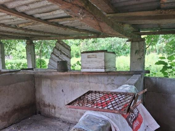 PROYECTO DE EVALUACIÓN DE ALIMENTO ARTESANAL PARA APIARIOS