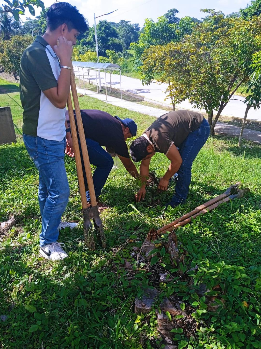 JORNADA DE FORESTACIÓN